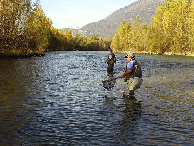 pesca-mosca pesca-mosca